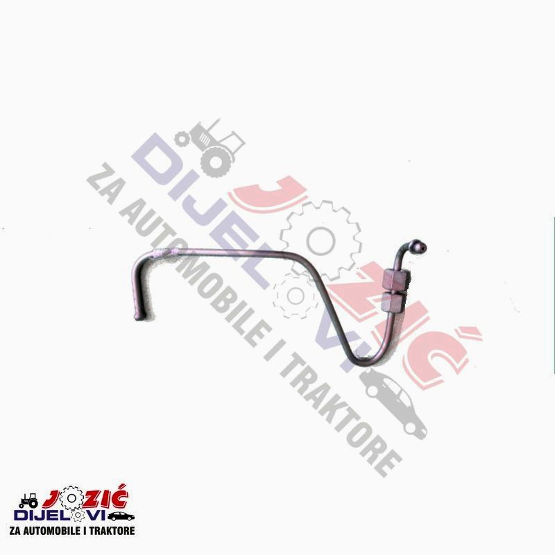 Daisy on the Ohoopee